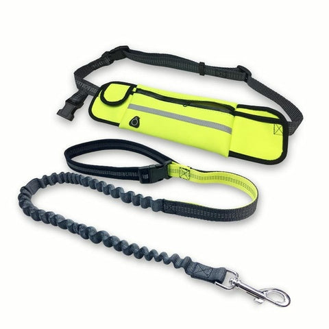 Waterproof Hands Free Bungee Dog Leash